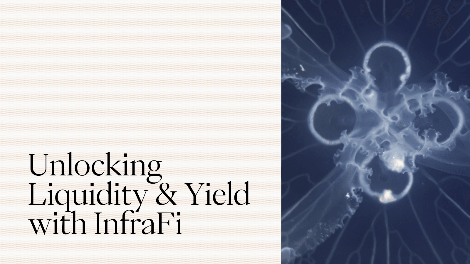 Liquidity and Yield.png