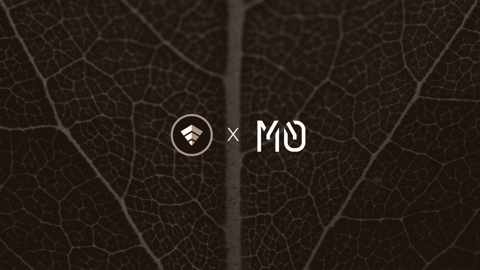M0.png